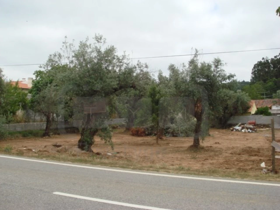Terreno para Venda em Casais e Alviobeira Foto 2