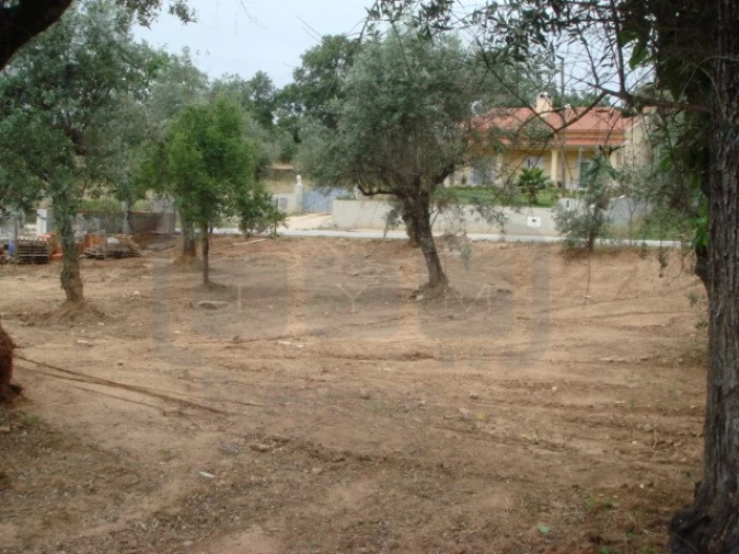 Terreno para Venda em Casais e Alviobeira Foto 5