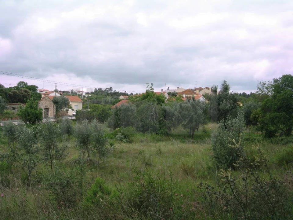 Terreno para Venda em Madalena e Beselga Foto 4