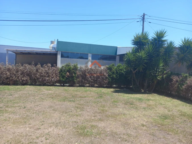 Negócio para Cedência de Quotas em Vagos e Santo António Foto 6