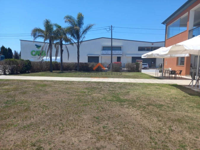 Negócio para Cedência de Quotas em Vagos e Santo António Foto 9