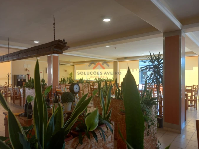 Negócio para Cedência de Quotas em Vagos e Santo António Foto 14