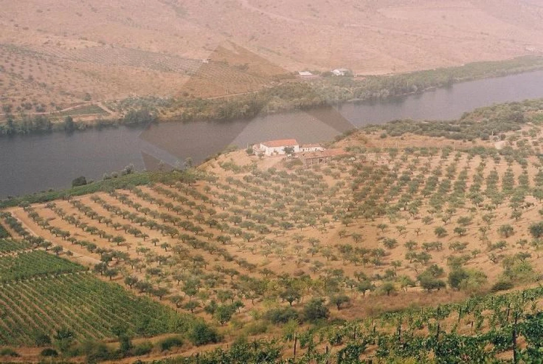 Quinta para Venda em Escalhão Foto 4