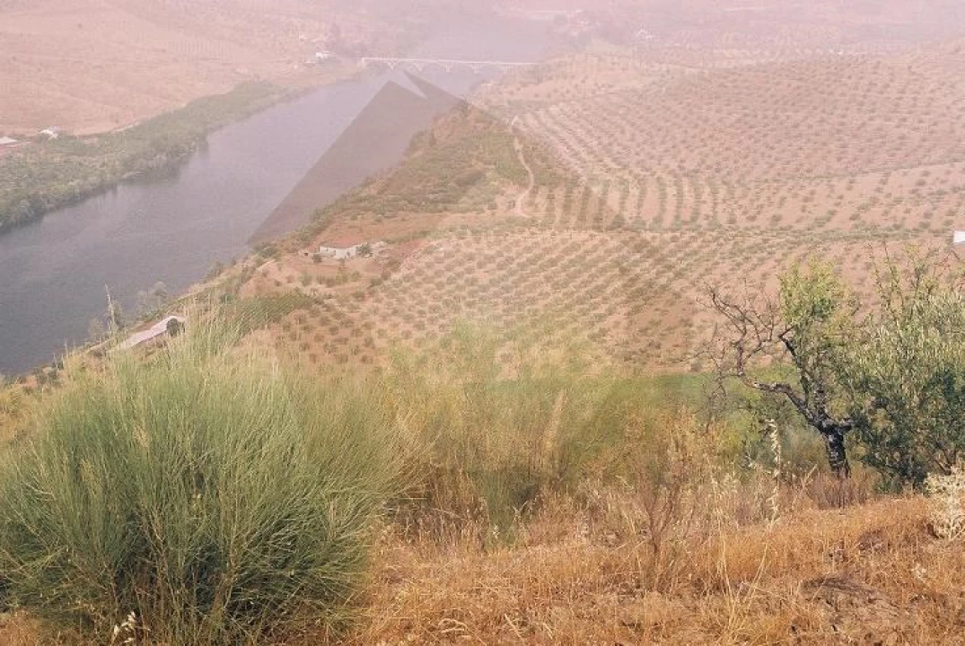 Quinta para Venda em Escalhão Foto 1