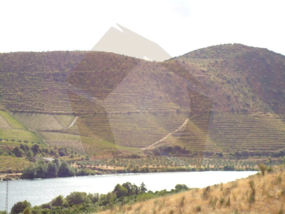 Quinta para Venda em Escalhão Foto 8