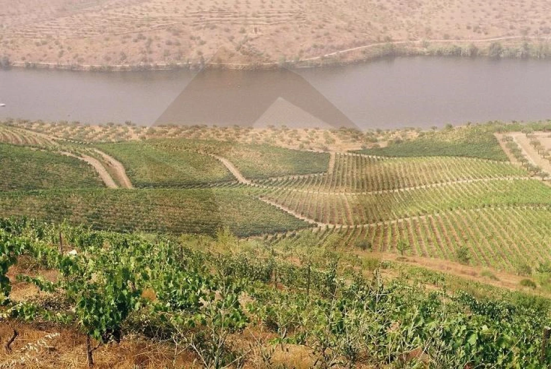 Quinta para Venda em Escalhão Foto 2