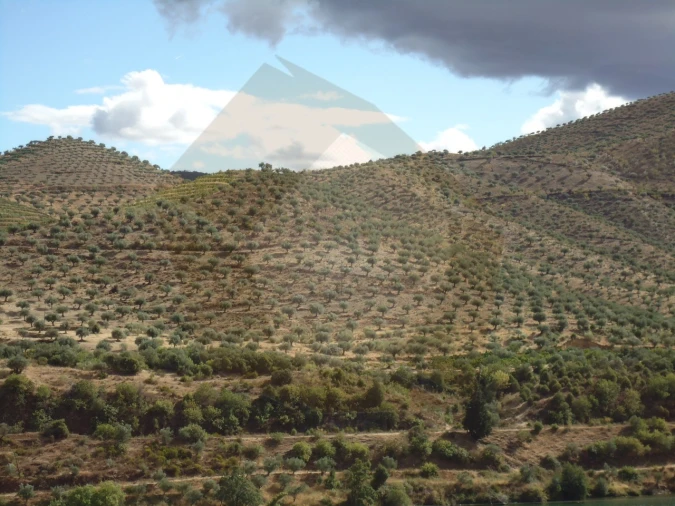 Quinta para Venda em Escalhão Foto 6