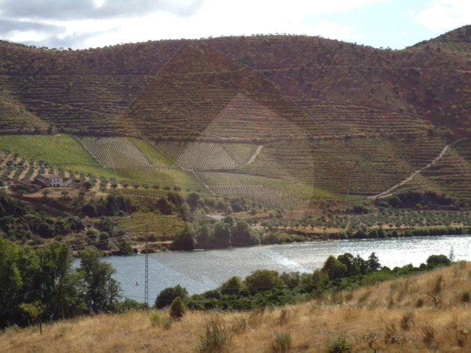 Quinta para Venda em Escalhão Foto 7
