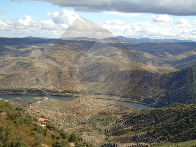 Quinta para Venda em Escalhão Foto 11