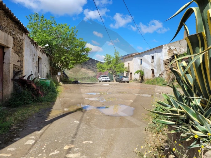 Quinta para Venda em Escalhão Foto 15