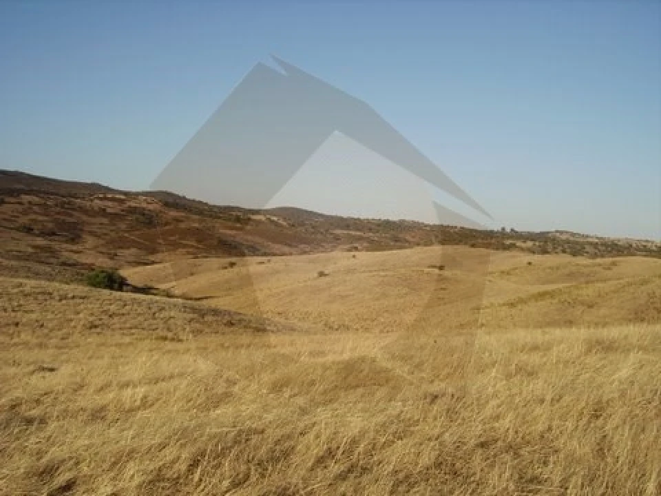 Quinta para Venda em Mertola Foto 9