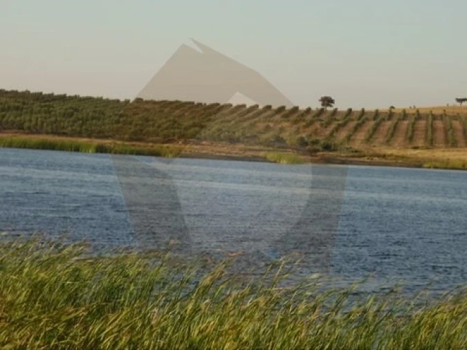 Quinta para Venda em Mertola Foto 1