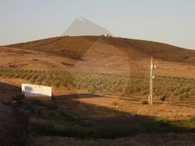 Quinta para Venda em Mertola Foto 5