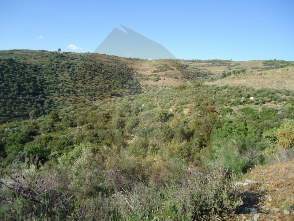 Quinta para Venda em Barcos e Santa Leocádia Foto 2