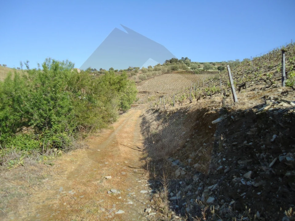 Quinta para Venda em Barcos e Santa Leocádia Foto 6