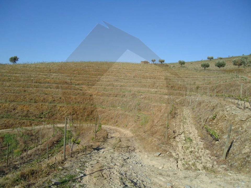 Quinta para Venda em Barcos e Santa Leocádia Foto 8