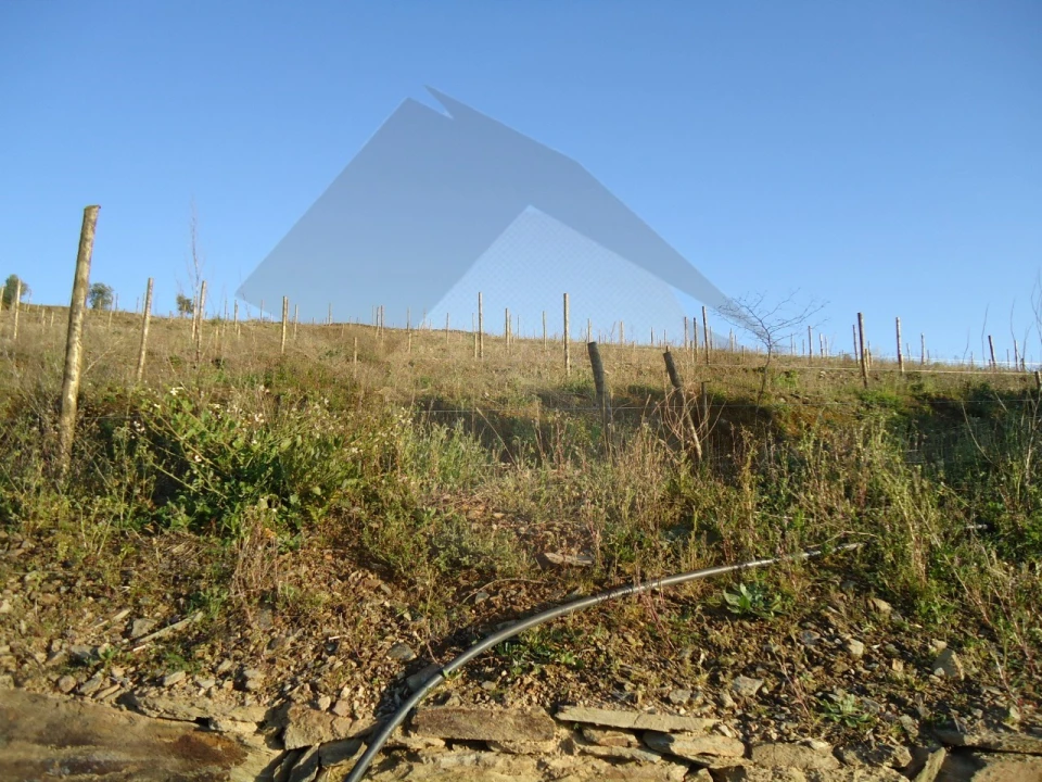 Quinta para Venda em Barcos e Santa Leocádia Foto 14