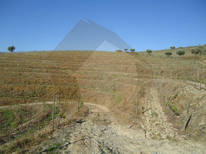 Quinta para Venda em Barcos e Santa Leocádia Foto 8