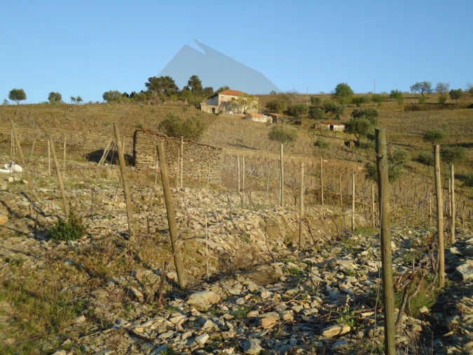 Quinta para Venda em Barcos e Santa Leocádia Foto 19