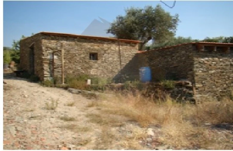 Quinta para Venda em Barcos e Santa Leocádia Foto 23