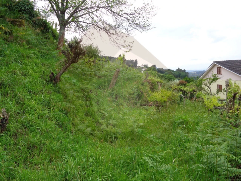 Terreno para Venda em Penso Foto 3