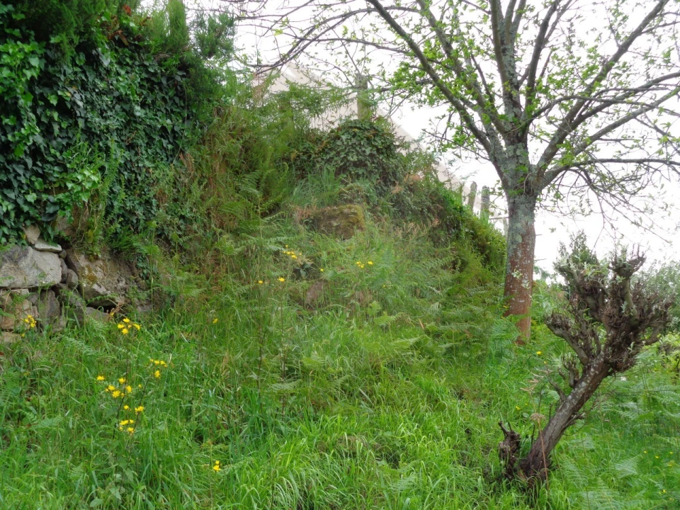 Terreno para Venda em Penso Foto 4