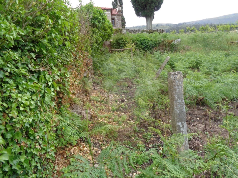 Terreno para Venda em Penso Foto 8