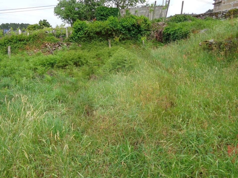 Terreno para Venda em Penso Foto 11