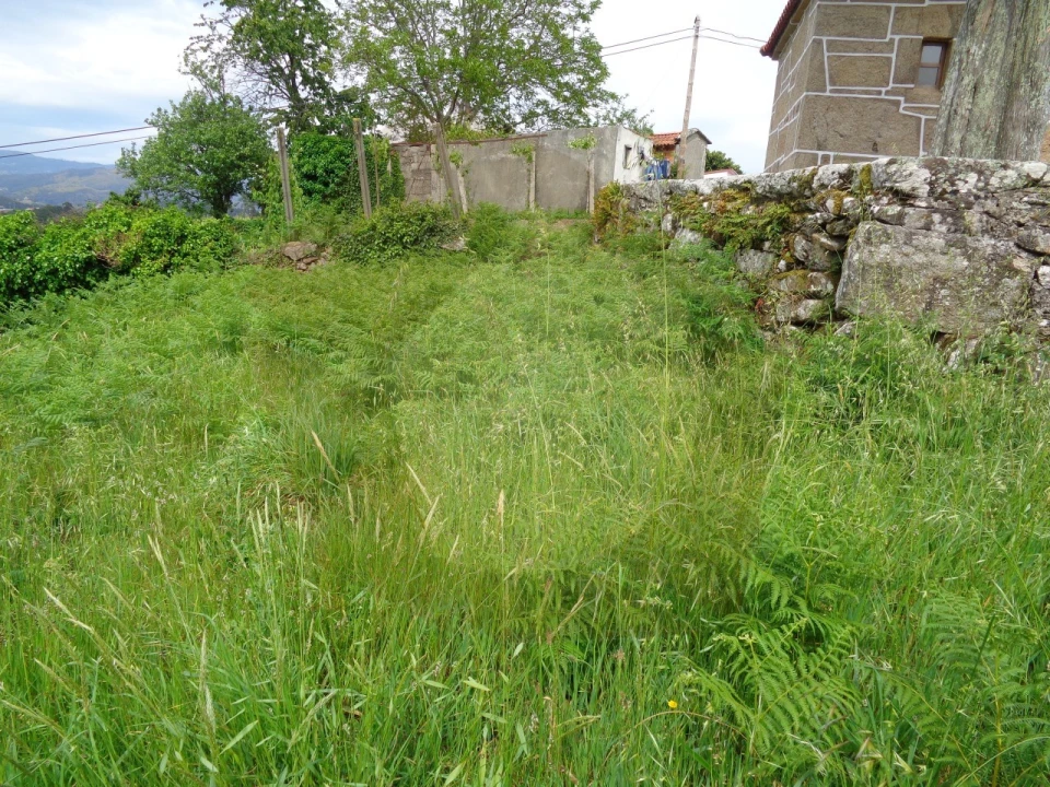 Terreno para Venda em Penso Foto 13