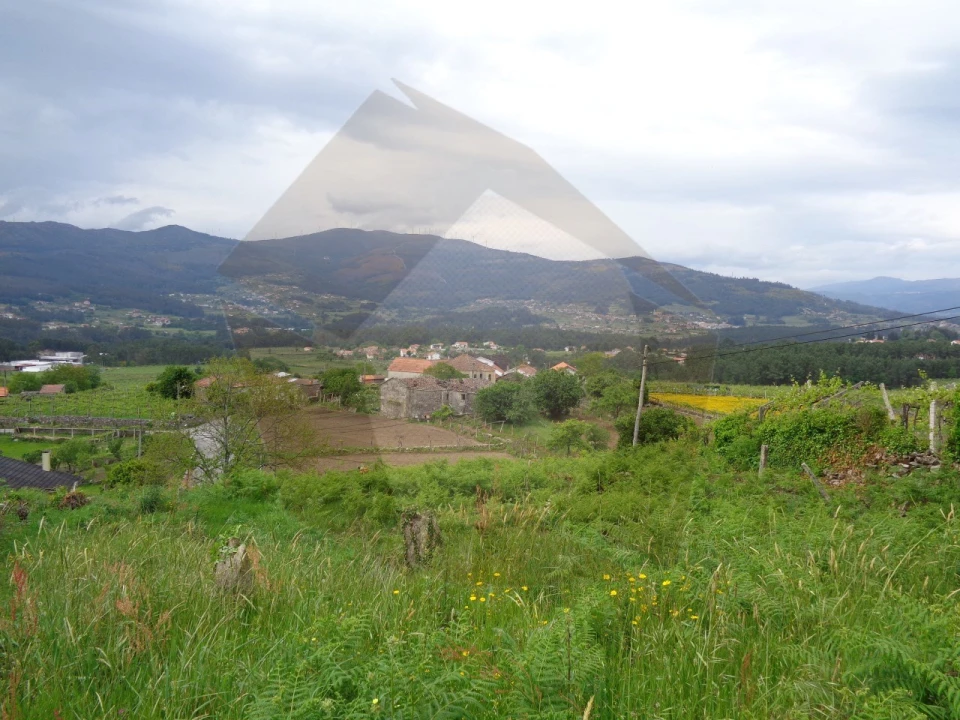 Terreno para Venda em Penso Foto 12