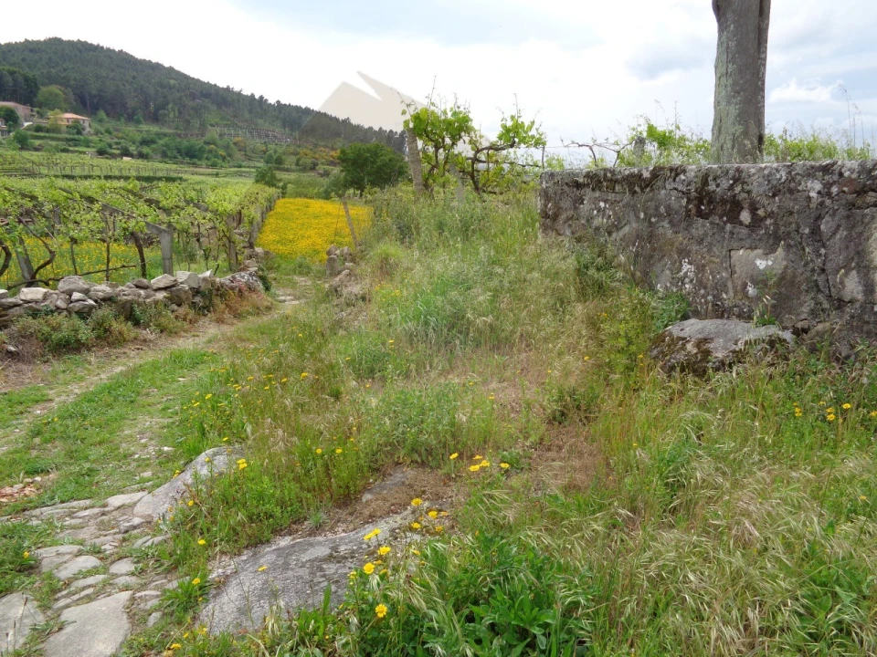 Terreno para Venda em Penso Foto 19