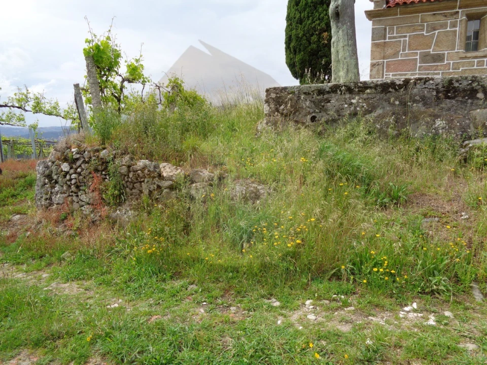 Terreno para Venda em Penso Foto 22