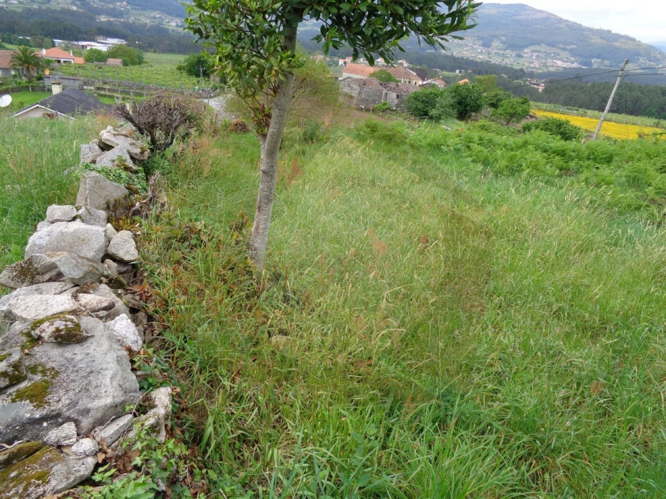 Terreno para Venda em Penso Foto 25