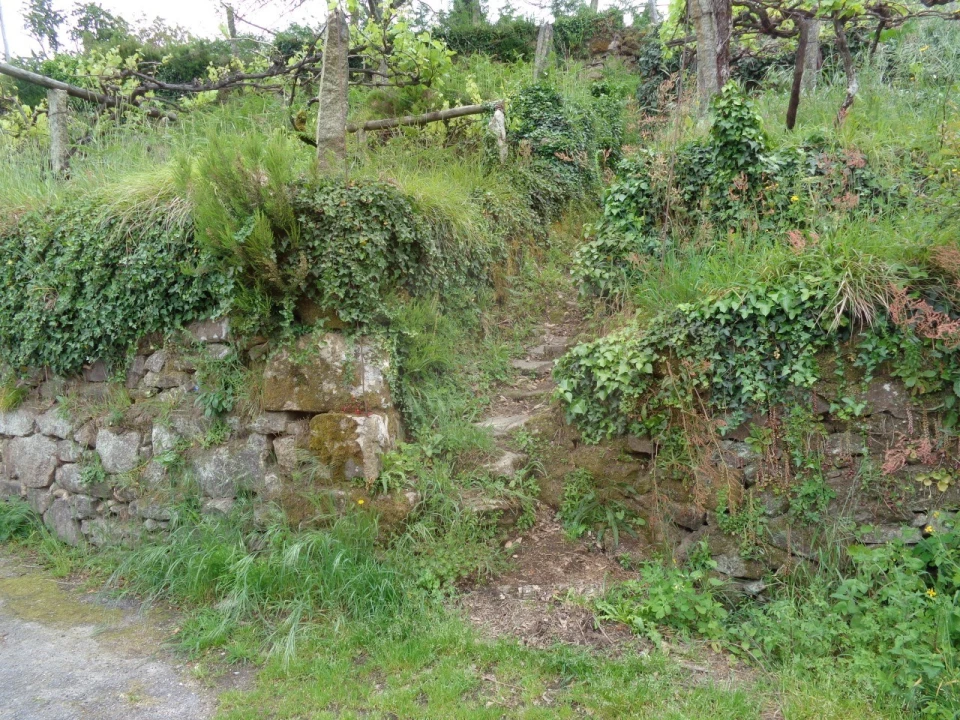 Terreno para Venda em Penso Foto 26