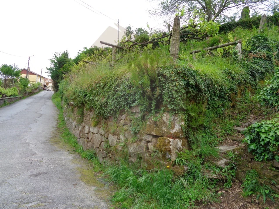 Terreno para Venda em Penso Foto 27