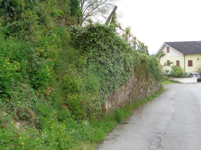 Terreno para Venda em Penso Foto 2