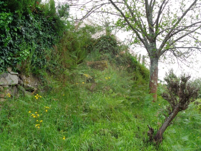 Terreno para Venda em Penso Foto 4