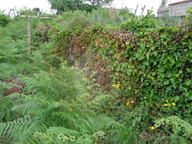 Terreno para Venda em Penso Foto 7