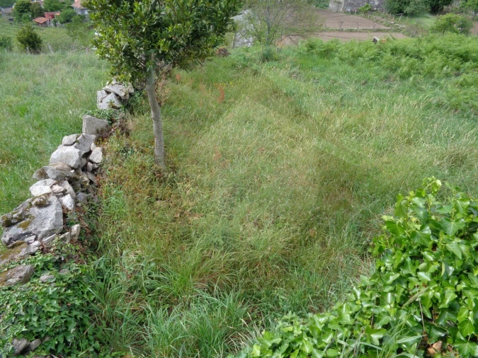 Terreno para Venda em Penso Foto 16