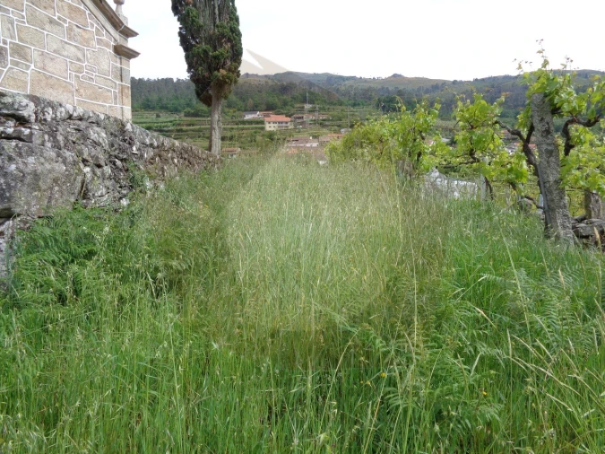 Terreno para Venda em Penso Foto 17
