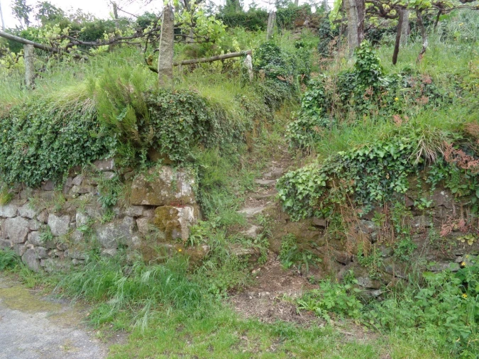 Terreno para Venda em Penso Foto 26