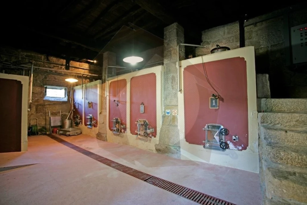 Quinta para Venda em Mangualde, Mesquitela e Cunha Alta Foto 14