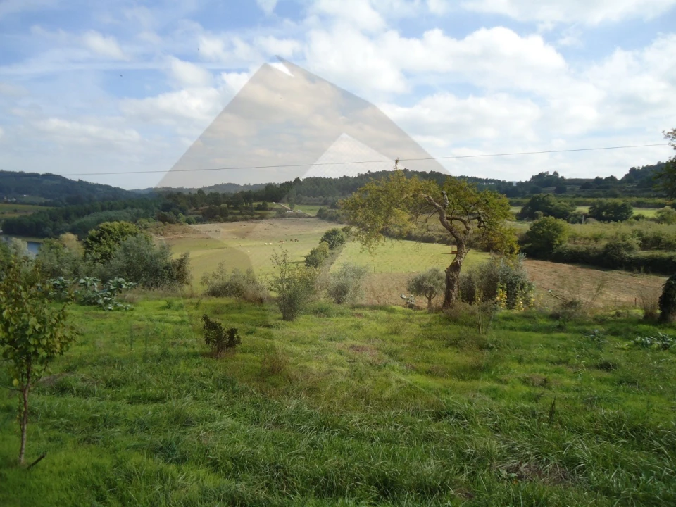 Quinta para Venda em Mangualde, Mesquitela e Cunha Alta Foto 16