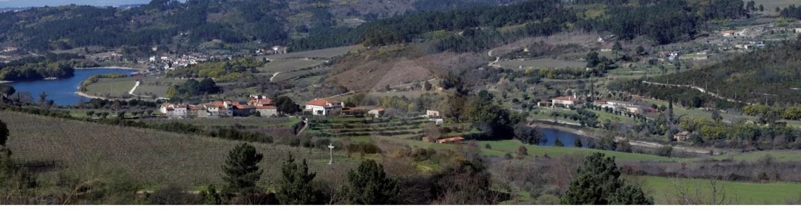 Quinta para Venda em Mangualde, Mesquitela e Cunha Alta Foto 19