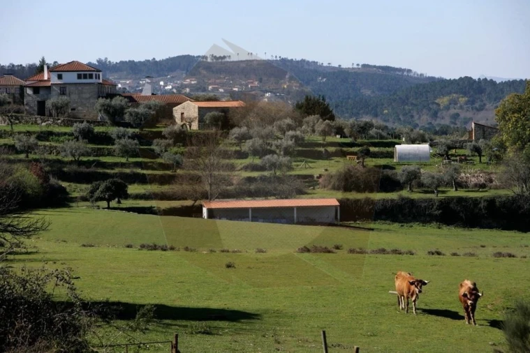 Quinta para Venda em Mangualde, Mesquitela e Cunha Alta Foto 17