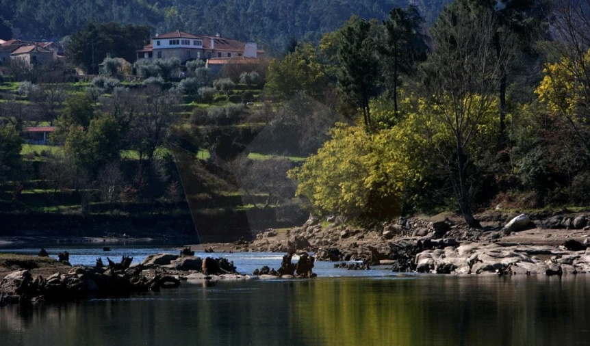 Quinta para Venda em Mangualde, Mesquitela e Cunha Alta Foto 18