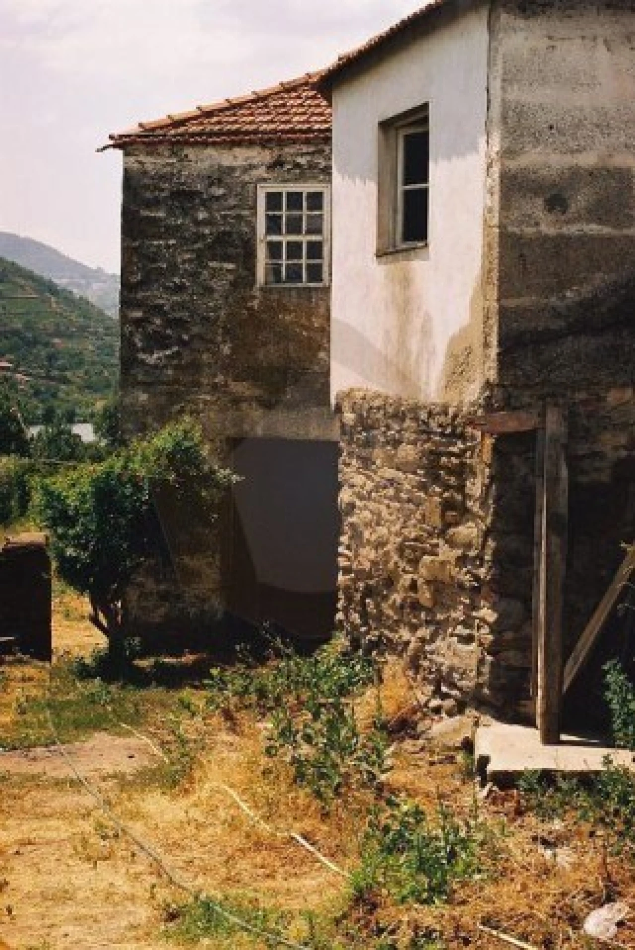 Quinta para Venda em Vila Marim Foto 9