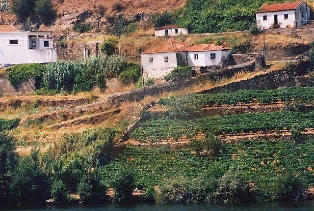 Quinta para Venda em Vila Marim Foto 15