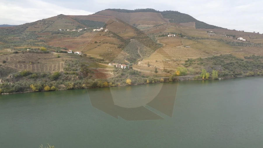 Quinta para Venda em Vila Marim Foto 8