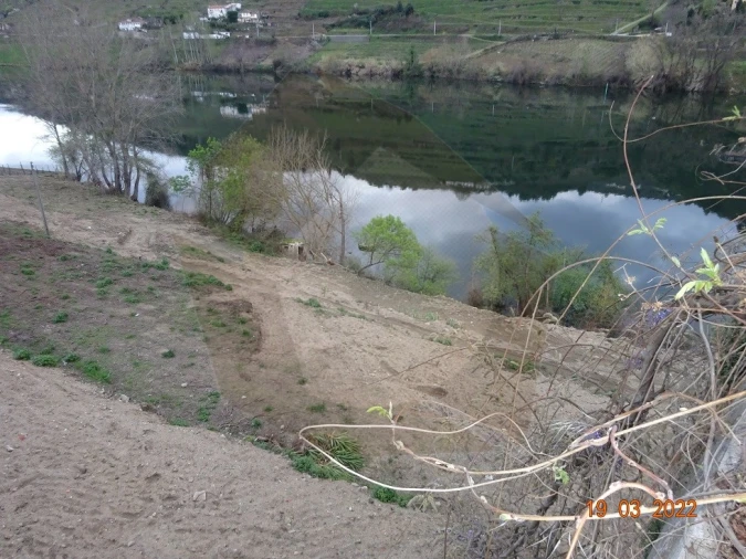 Quinta para Venda em Vila Marim Foto 1